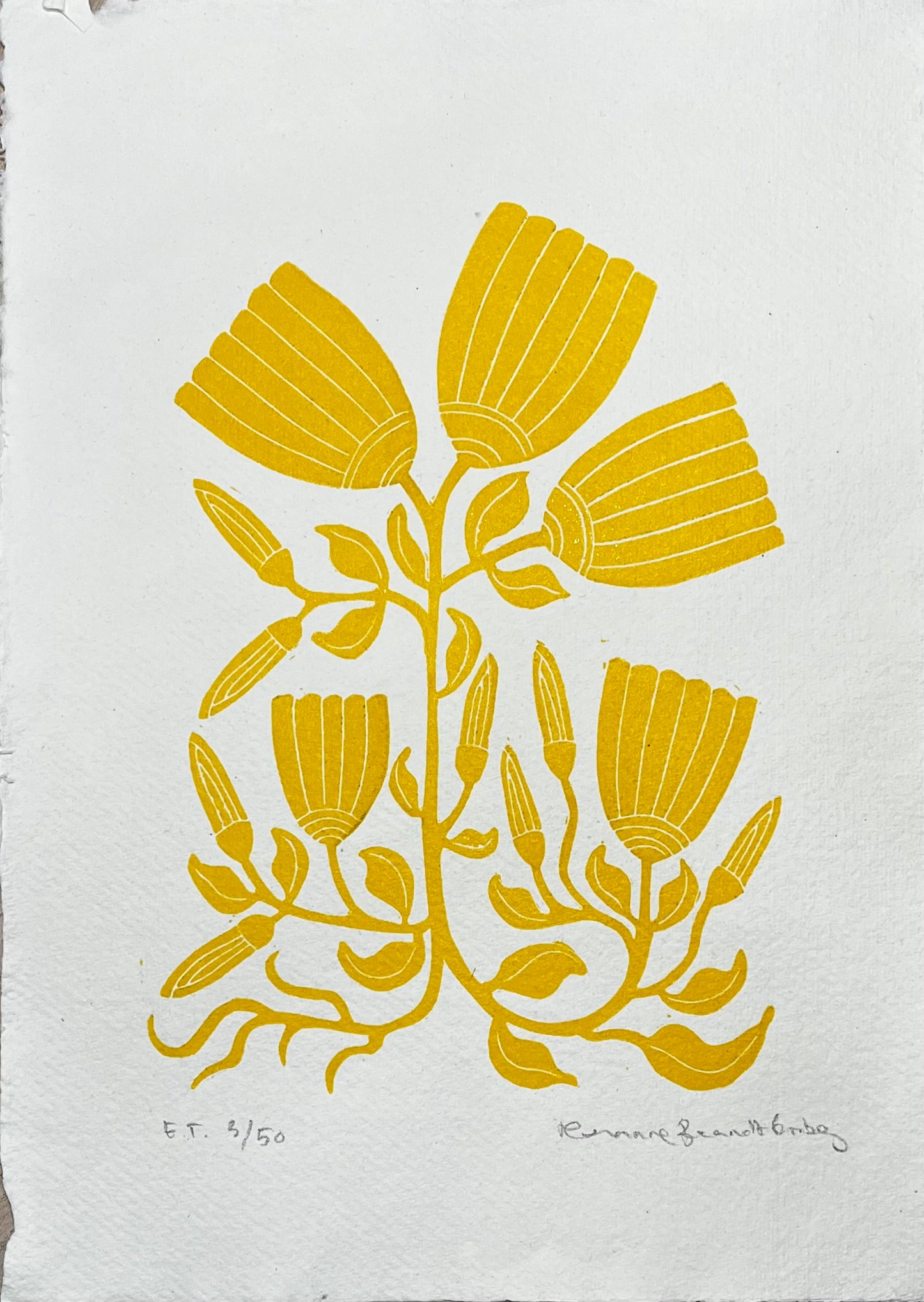 Vintage Tulipaner Gul