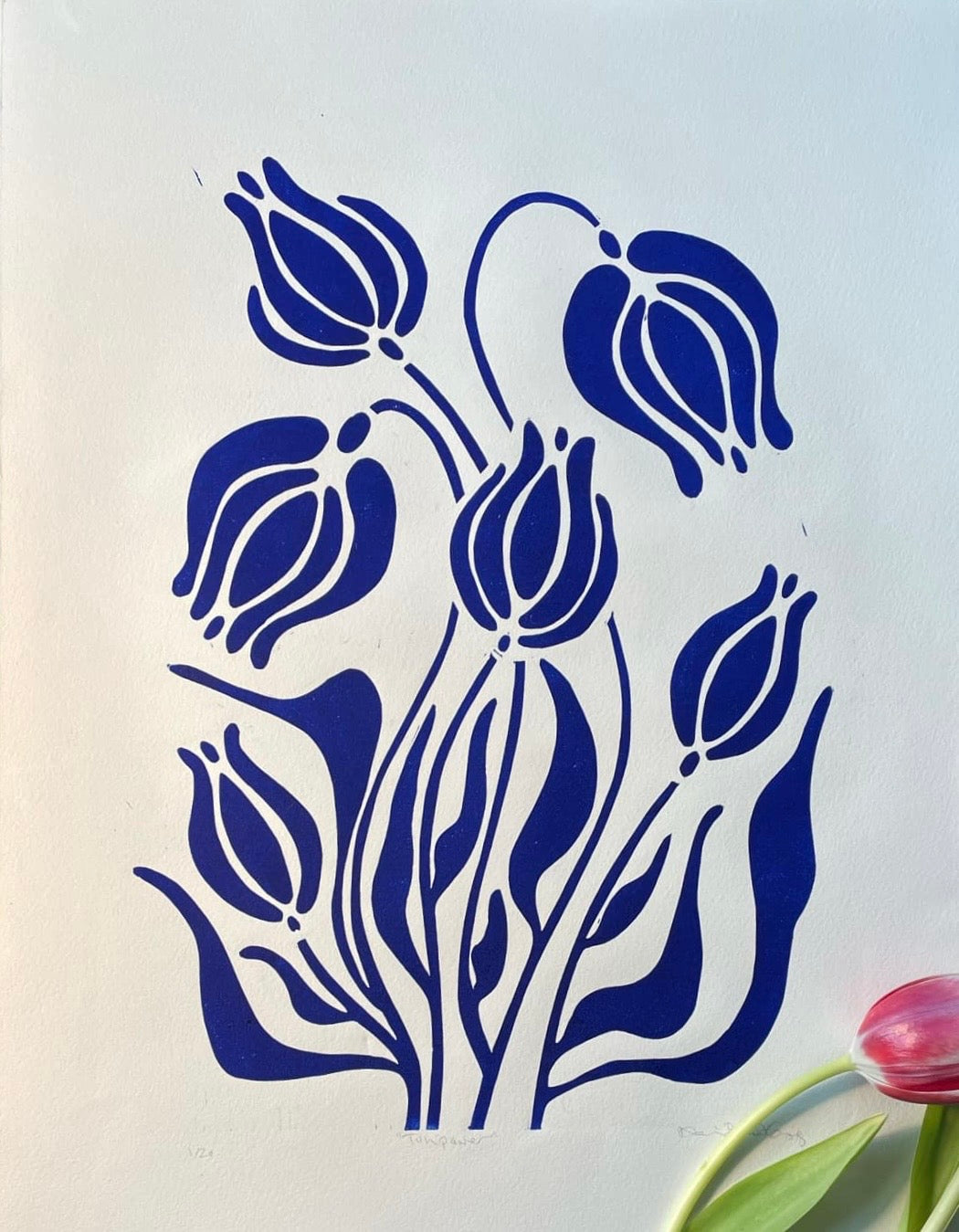 Tulipaner Ultramarinblå