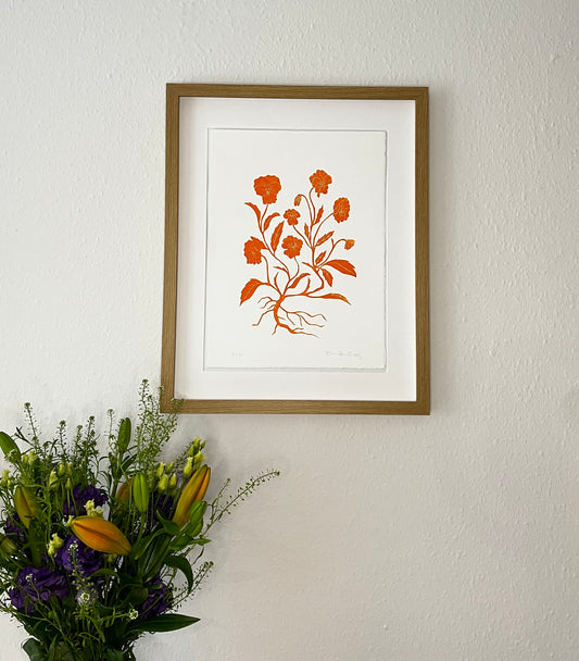 Stedmoderblomst Orange