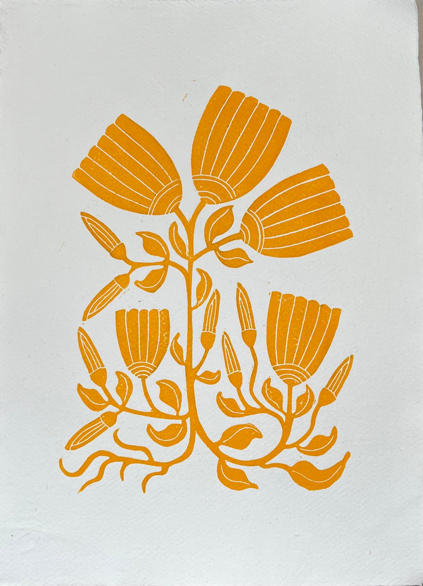 Vintage Tulipaner Gul