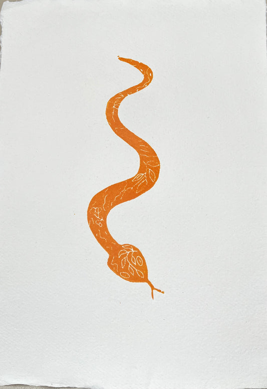 Slange Orange