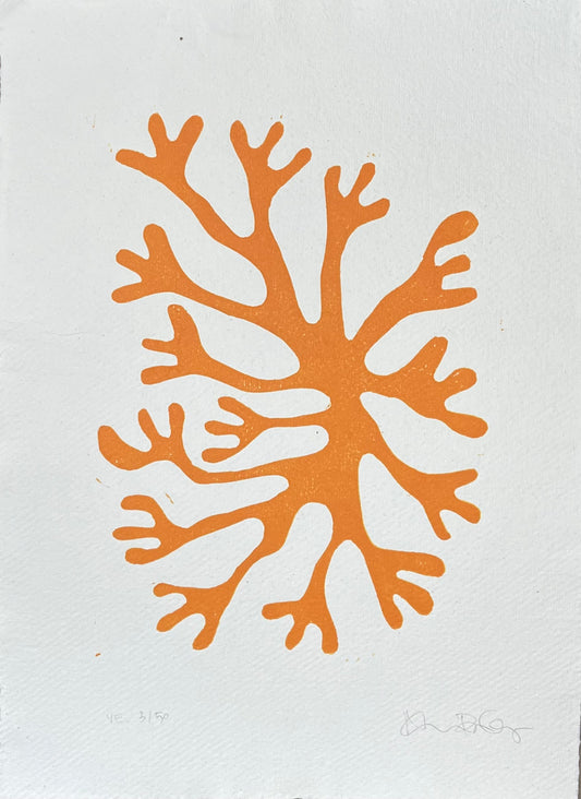 Koral Orange