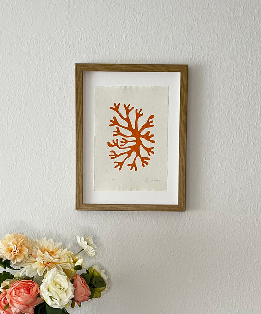 Koral Orange