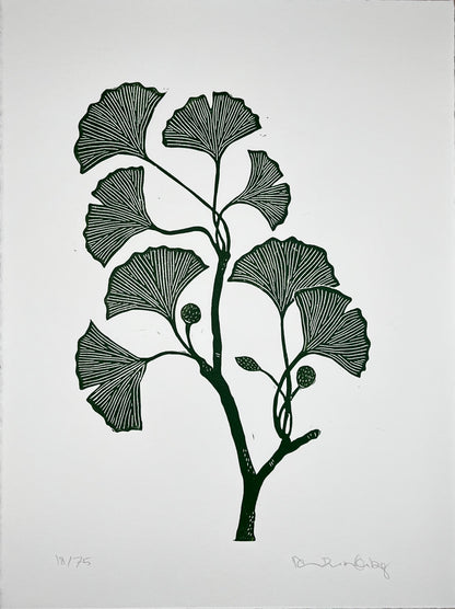 Ginkgogren Grøn
