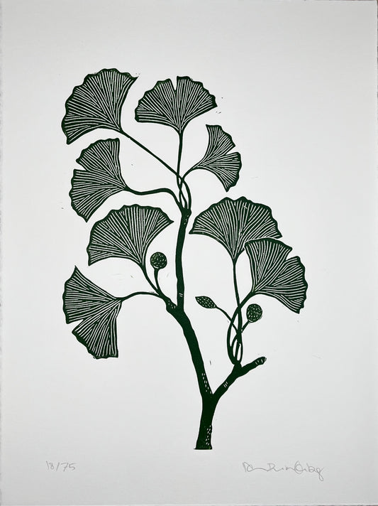 Ginkgogren Grøn