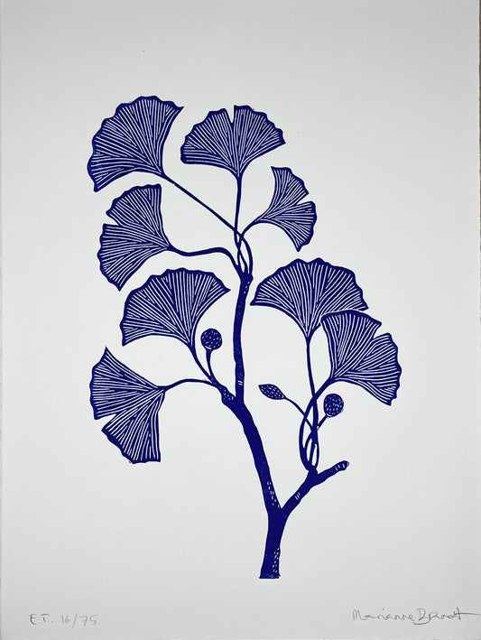 Ginkgogren Blå