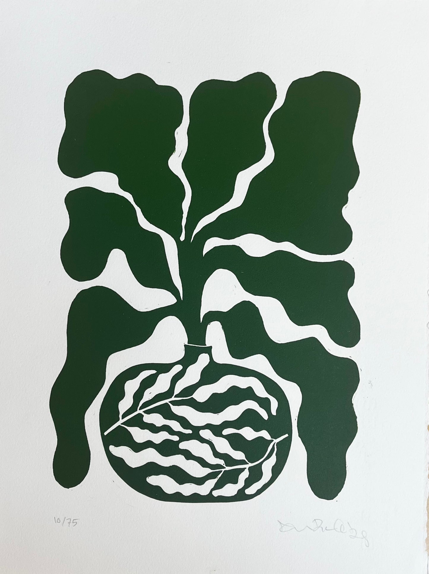 Bredbladet Vase Mørkegrøn