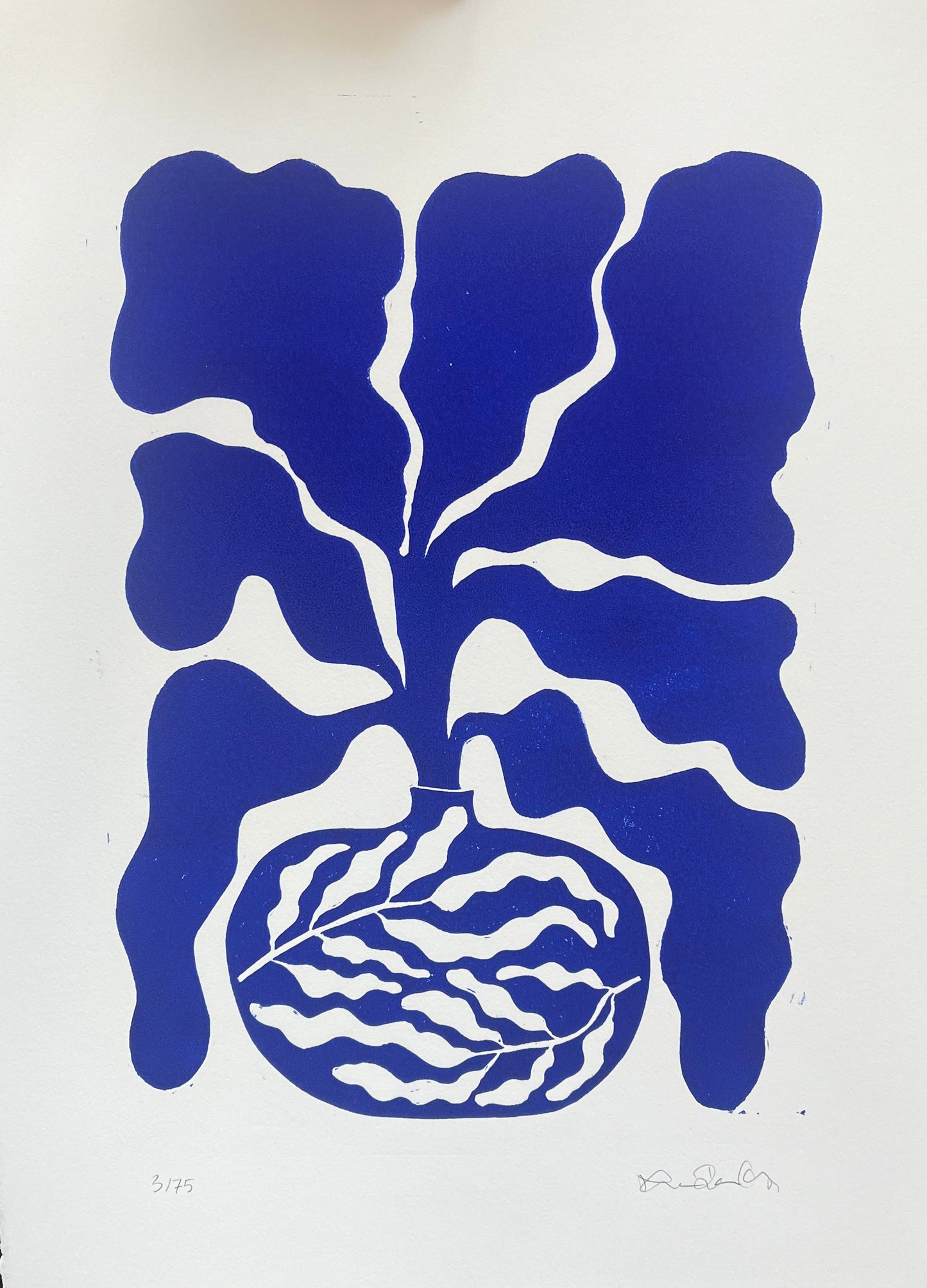 Bredbladet Vase Blå