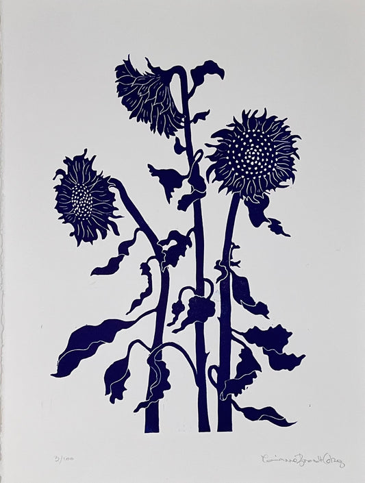 Solsikke Midsnatsblå